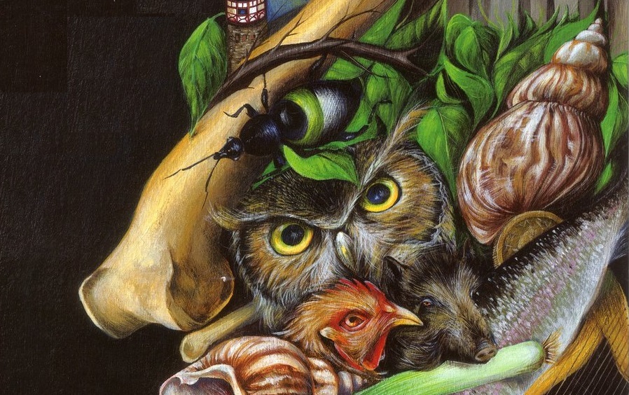 Illustration Nina Töwe